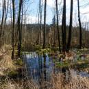 PP Bukovské rybníčky, 19.4.2015, foto Vojtěch Kodet