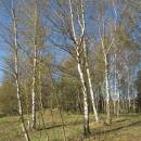 Vílanecká střelnice, 20.4.2011, foto Vojtěch Kodet