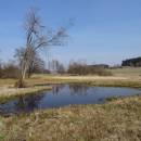 Rašeliniště Bažantka, 28.3.2016, foto Vojtěch Kodet