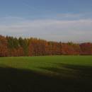 PR Luh u Telče, 29.10.2004, foto Vojtěch Kodet