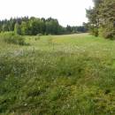 U Šeredů, 29.5.2013, foto Vojtěch Kodet