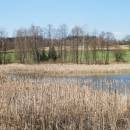 Nový rybník u Nové Vsi, 19.4.2015, foto Vojtěch Kodet