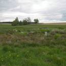 Šipnovský mokřad, 5.5.2009, foto Vojtěch Kodet