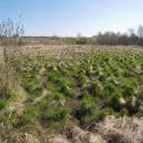 Vílanecká střelnice, 20.4.2011, foto Vojtěch Kodet
