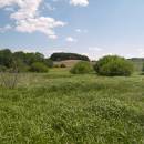 Na Velešovech, 24.5.2012, foto Vojtěch Kodet