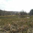 Jezdovický rybník, 10.4.2007, foto Vojtěch Kodet