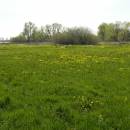 ryb. Nový u Háje, 25.4.2010, foto Vojtěch Kodet