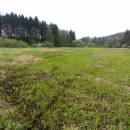 Starohorský mokřad, 2.5.2015, foto Vojtěch Kodet