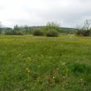 Rašeliniště Bažantka, 19.5.2014, foto Vojtěch Kodet