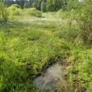U Šeredů, 29.5.2013, foto Vojtěch Kodet