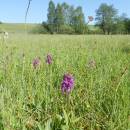 PR Řeka, 4.6.2015, foto Vojtěch Kodet
