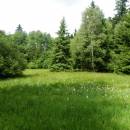 PP Ještěnice, 29.6.2013, foto Vojtěch Kodet