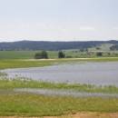 Znětínecký rybník, 5.7.2006, foto Vojtěch Kodet