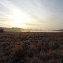 Olešský rybník, 31.3.2017, foto Vojtěch Kodet