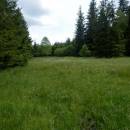 PP Ještěnice, 29.6.2013, foto Vojtěch Kodet