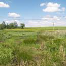 Šipnovský mokřad, 24.5.2012, foto Vojtěch Kodet