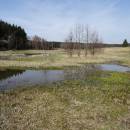 Mokřady Pod Chvojnovem, 5.4.2016, foto Vojtěch Kodet