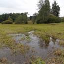 U Šeredů, 8.10.2016, foto Vojtěch Kodet