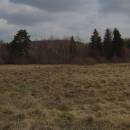 NPP Hojkovské rašeliniště, 16.4.2004, foto Vojtěch Kodet