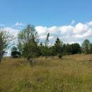 PR Na Oklice, 28.6.2015, foto Vojtěch Kodet
