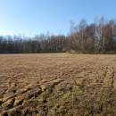 PR Rašeliniště Kaliště, 31.10.2013, foto Vojtěch Kodet