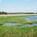 Znětínecký rybník, 18.5.2015, foto Vojtěch Kodet