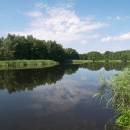Kamenický rybník, 13.7.2010, foto Vojtěch Kodet