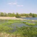 PP Starý Přísecký rybník, 24.4.2009, foto Vojtěch Kodet