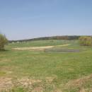 Bělokamenský mokřad, 16.4.2009, foto Vojtěch Kodet