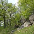 PR Údolí Oslavy a Chvojnice, 25.4.2011, foto Vojtěch Kodet