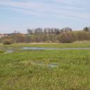 Velký Klátův rybník, 22.4.2010, foto Vojtěch Kodet
