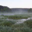 Bělokamenský mokřad, 14.6.2004, foto Vojtěch Kodet