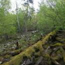 PR Údolí Oslavy a Chvojnice, 25.4.2011, foto Vojtěch Kodet