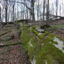 Spálava, 19.4.2016, foto Vojtěch Kodet