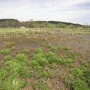 Rýžovka, 29.4.2012, foto Vojtěch Kodet