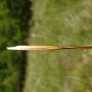 Kavyl chlupatý (<i>Stipa dasyphylla</i>), PR Dukovanský mlýn [TR], 2.6.2009, foto Josef Komárek