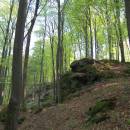 PP Vysoký kámen u Smrčné, 3.5.2006, foto Vojtěch Kodet