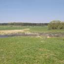 Bělokamenský mokřad, 16.4.2009, foto Vojtěch Kodet