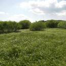 Na Velešovech, 24.5.2012, foto Vojtěch Kodet