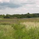 PP Starý Přísecký rybník, 21.6.2009, foto Vojtěch Kodet