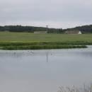 Nový Častotický rybník, 8.6.2009, foto Vojtěch Kodet