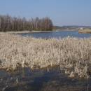 ryb. Smíchov, 28.3.2016, foto Vojtěch Kodet