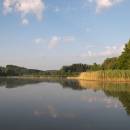 Zdislavický rybník, 14.7.2010, foto Vojtěch Kodet