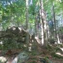 V Jelení, 28.5.2015, foto Vojtěch Kodet
