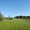 U Farského lesa, 20.5.2014, foto Vojtěch Kodet