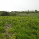 Frejlach, 8.5.2009, foto Vojtěch Kodet