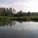 Borský rybník, 23.9.2009, foto Vojtěch Kodet
