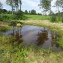 Rašeliniště Bažantka, 16.6.2016, foto Vojtěch Kodet