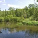 Jezdovický rybník, 8.6.2010, foto Vojtěch Kodet