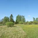 U Farského lesa, 20.5.2014, foto Vojtěch Kodet
